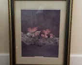 Framed Print - Autumn Fairies