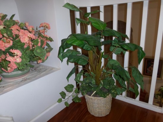 Foliage Arrangement in a Basket Planter