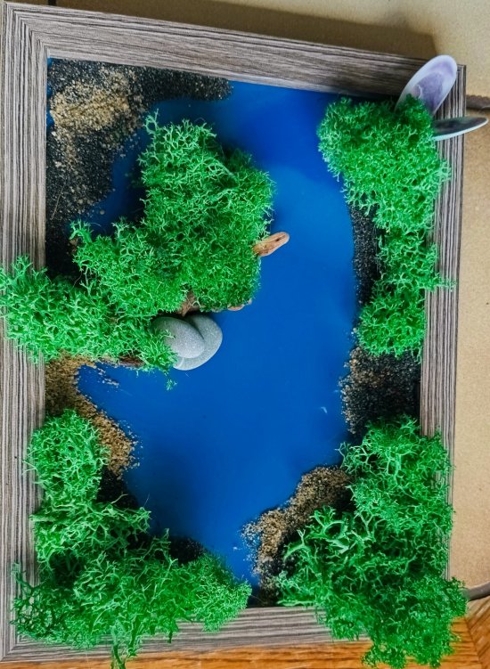 Handmade Artwork in a 2217 cm Photo Frame with Stand, Moss, and Natural Elements