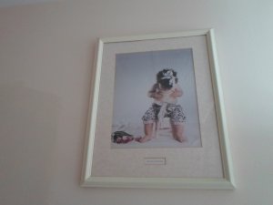 View Image for Item #651091