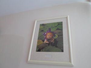 View Image for Item #651091