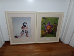 View Image for Item #651091
