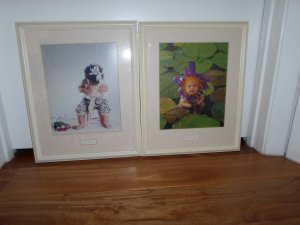 View Image for Item #651091