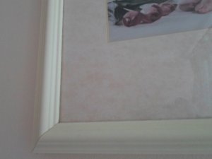 View Image for Item #651091