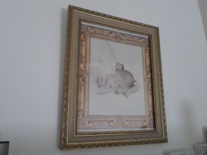 View Image for Item #651092