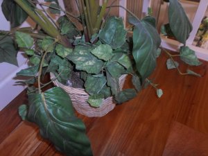 View Image for Item #651100