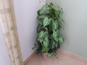 Foliage Arrangement in a Basket Planter - Green Multi-Tone Leaves