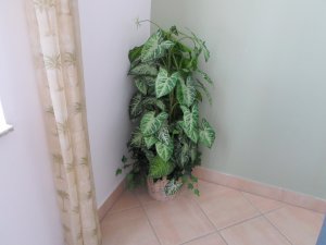 View Image for Item #651101