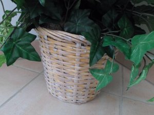 View Image for Item #651101