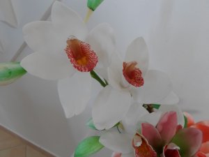 View Image for Item #651102