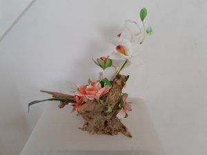 View Image for Item #651102
