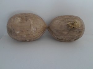 View Image for Item #651118