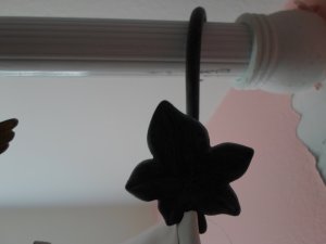 View Image for Item #651125