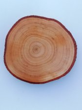 View Image for Item #651735