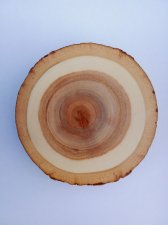 View Image for Item #651736