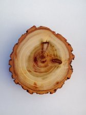View Image for Item #651740
