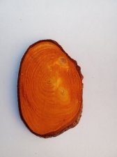 View Image for Item #651749