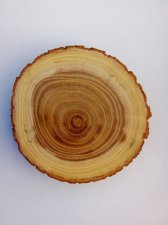 View Image for Item #651751