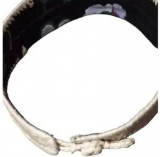 View Image for Item #652077