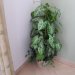 Foliage Arrangement in a Basket Planter - Green Multi-Tone Leaves